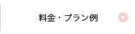料金・プラン例